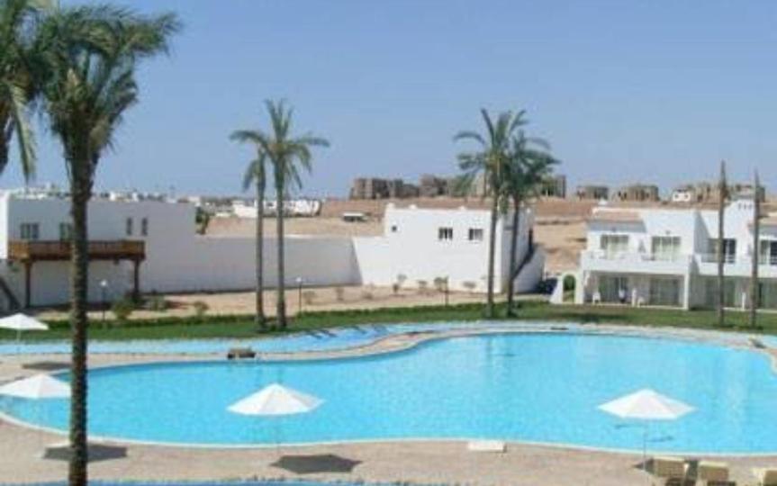 Naama Wiew- Alle Due Palme