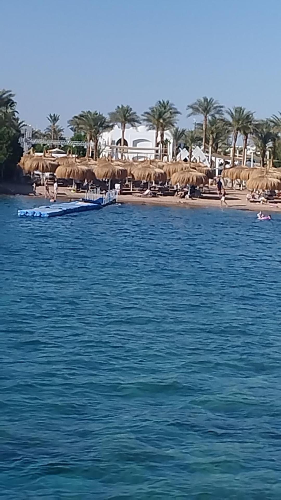Naama Wiew- Alle Due Palme * Шарм-еш-Шейх