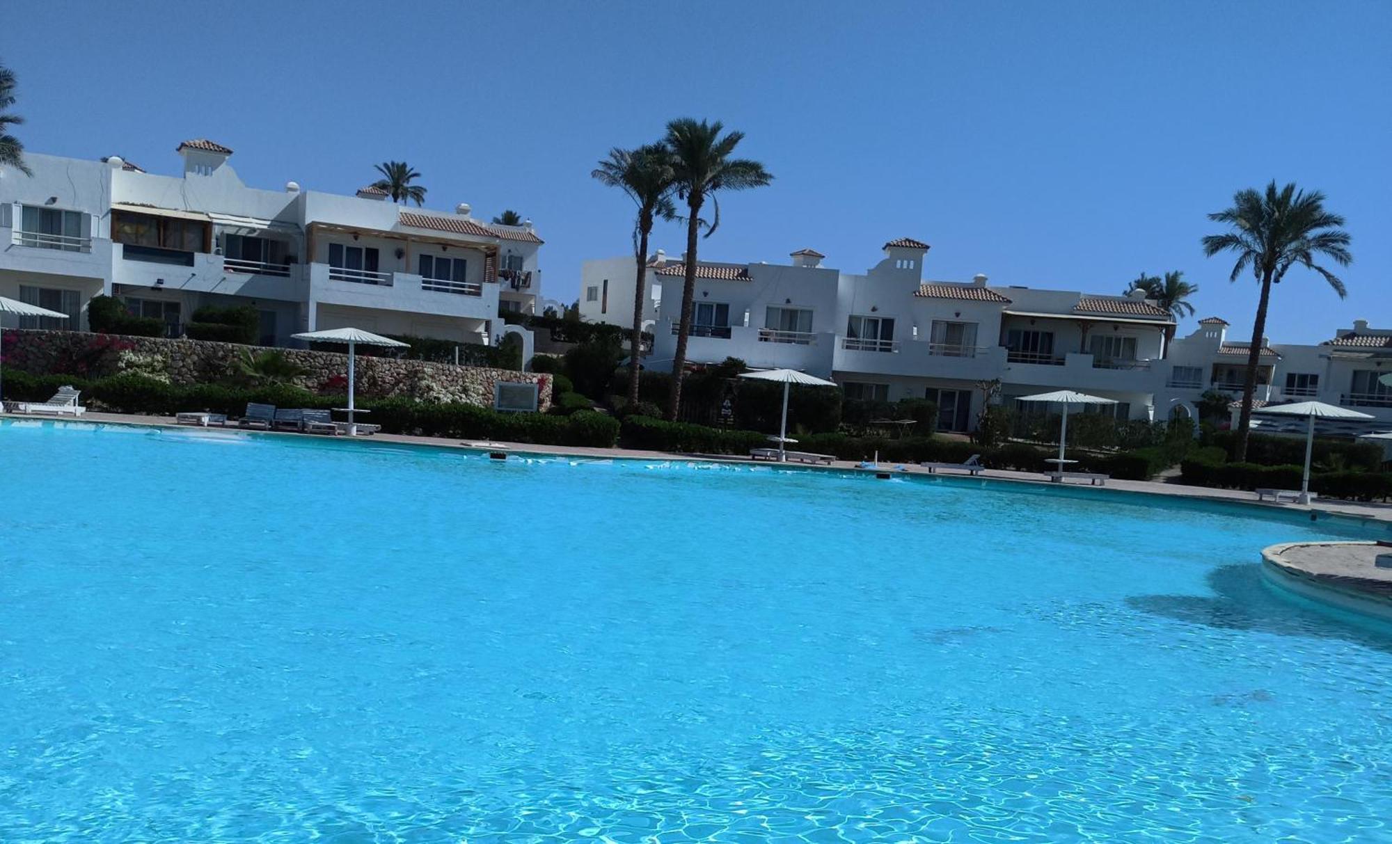 Naama Wiew- Alle Due Palme Sarm es-Sejk