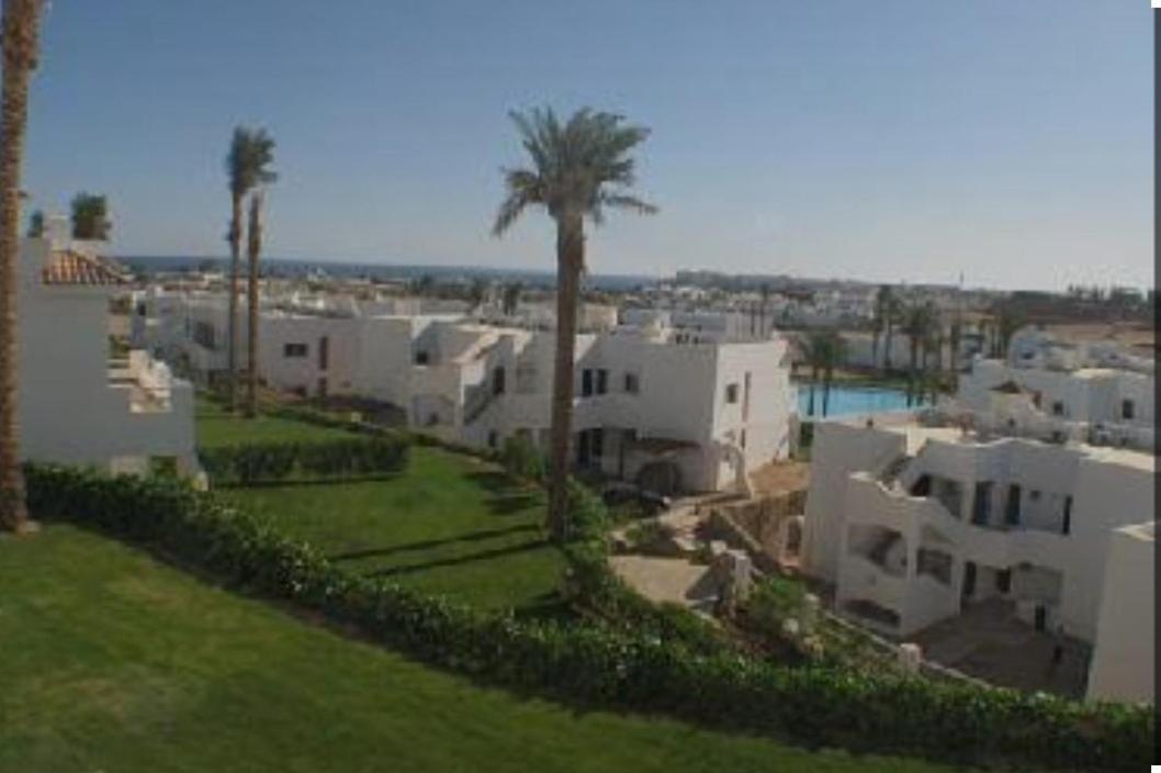 Naama Wiew- Alle Due Palme Sarm es-Sejk