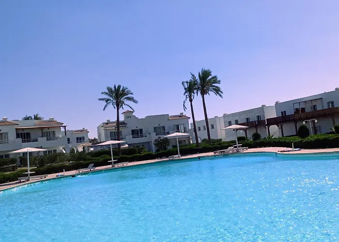 Naama Wiew- Alle Due Palme