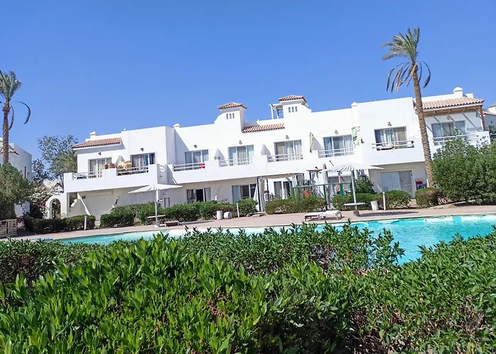 Naama Wiew- Alle Due Palme