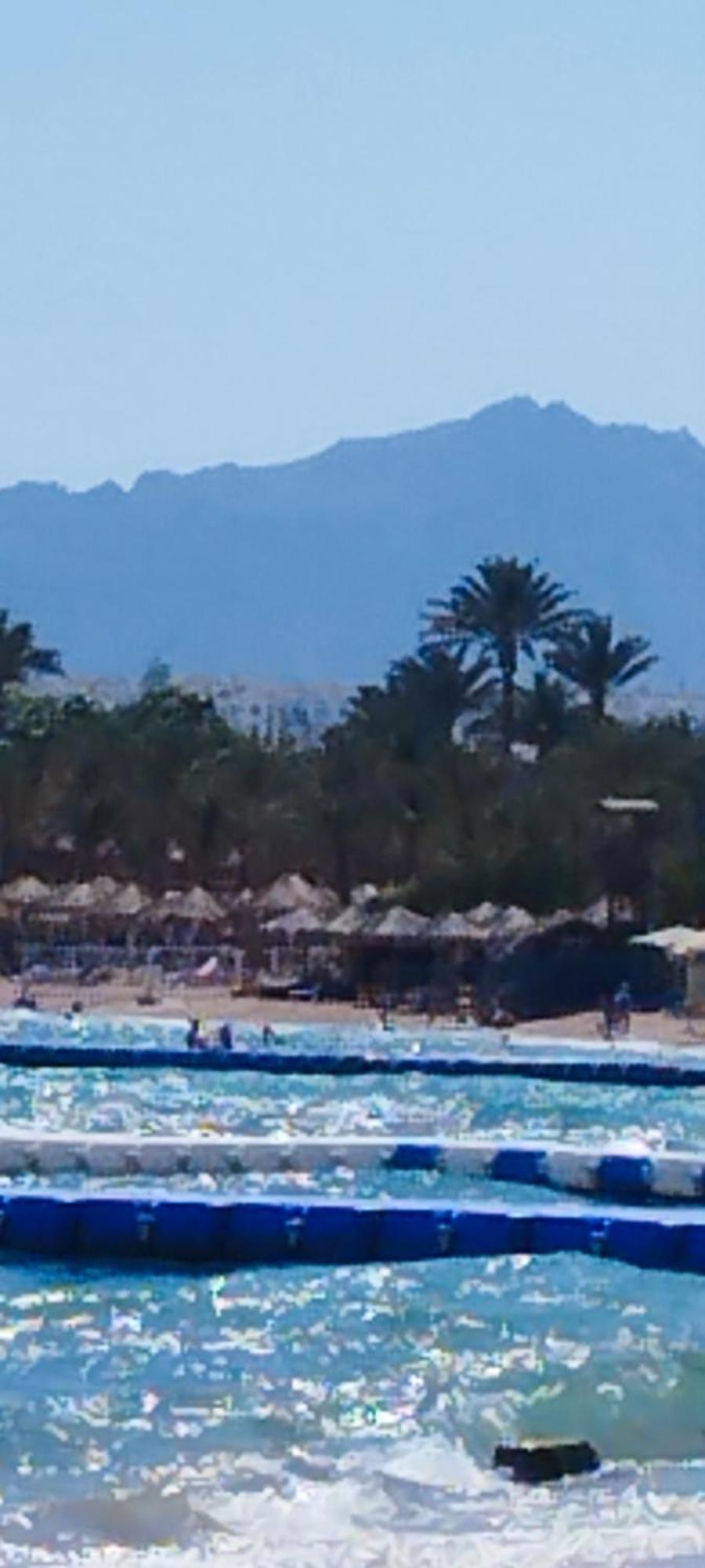 Naama Wiew- Alle Due Palme Šarm aš-Šajch