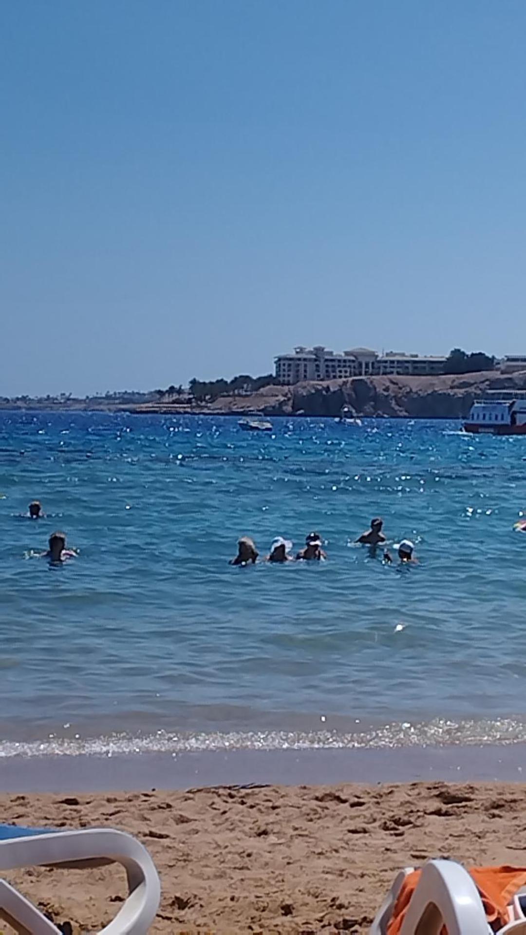 Naama Wiew- Alle Due Palme