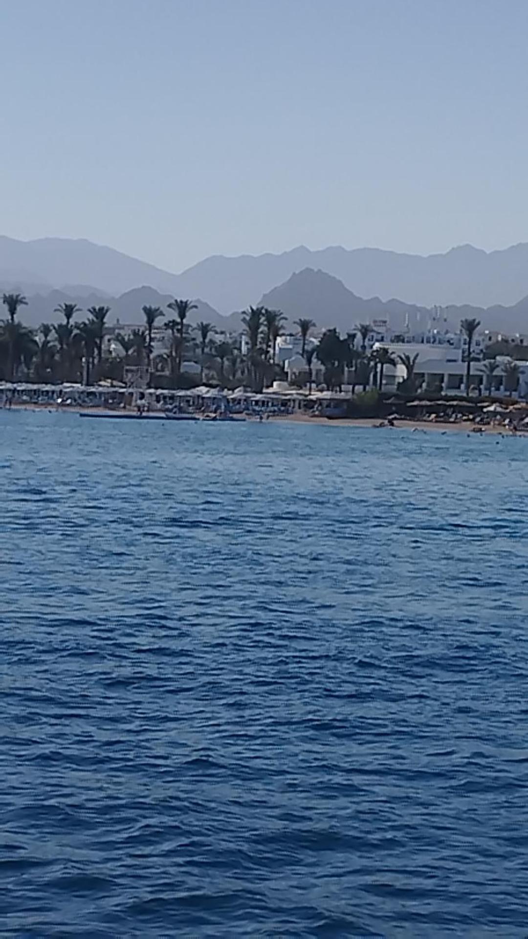 Naama Wiew- Alle Due Palme *